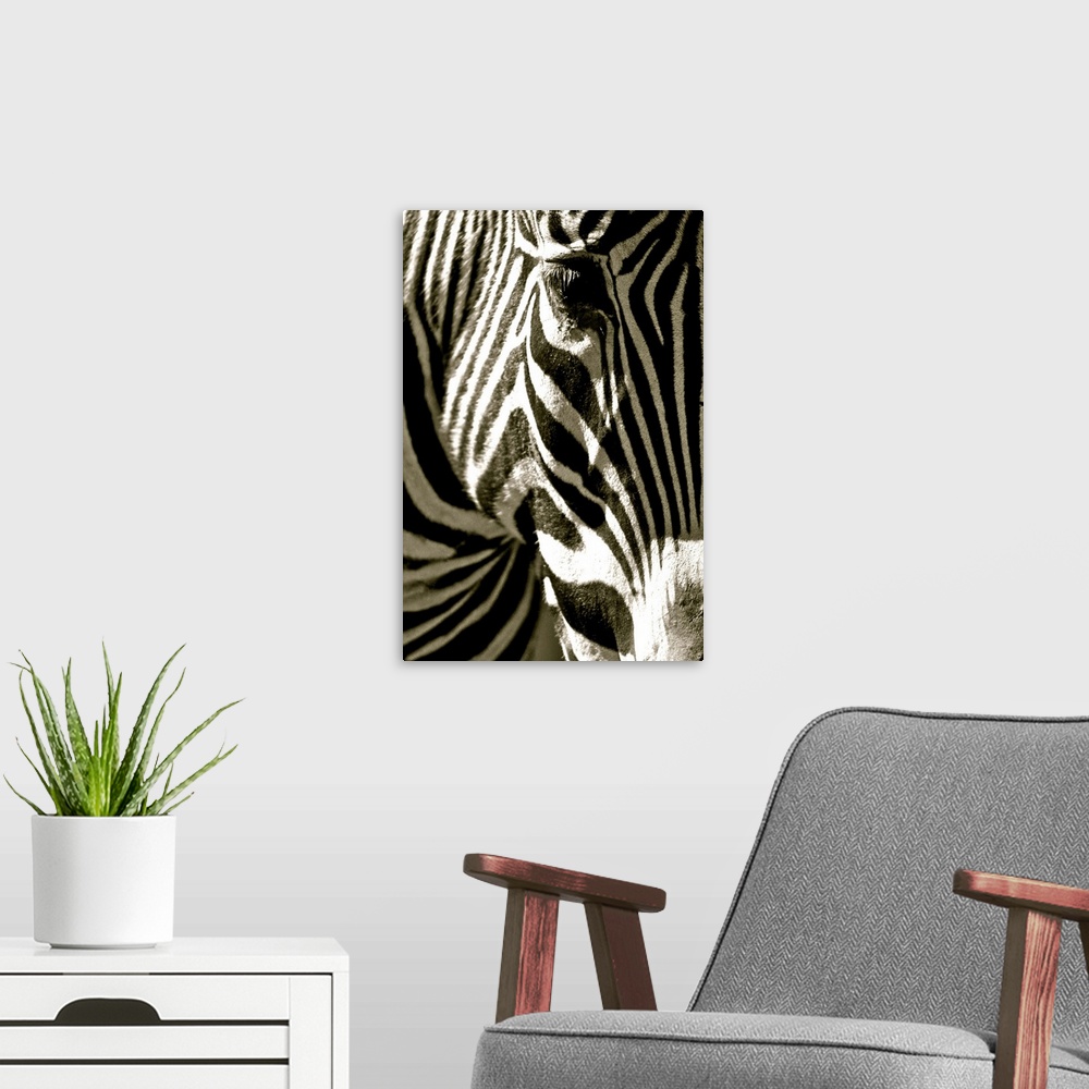 A modern room featuring Black and white photograph of a close-up of a zebra head.
