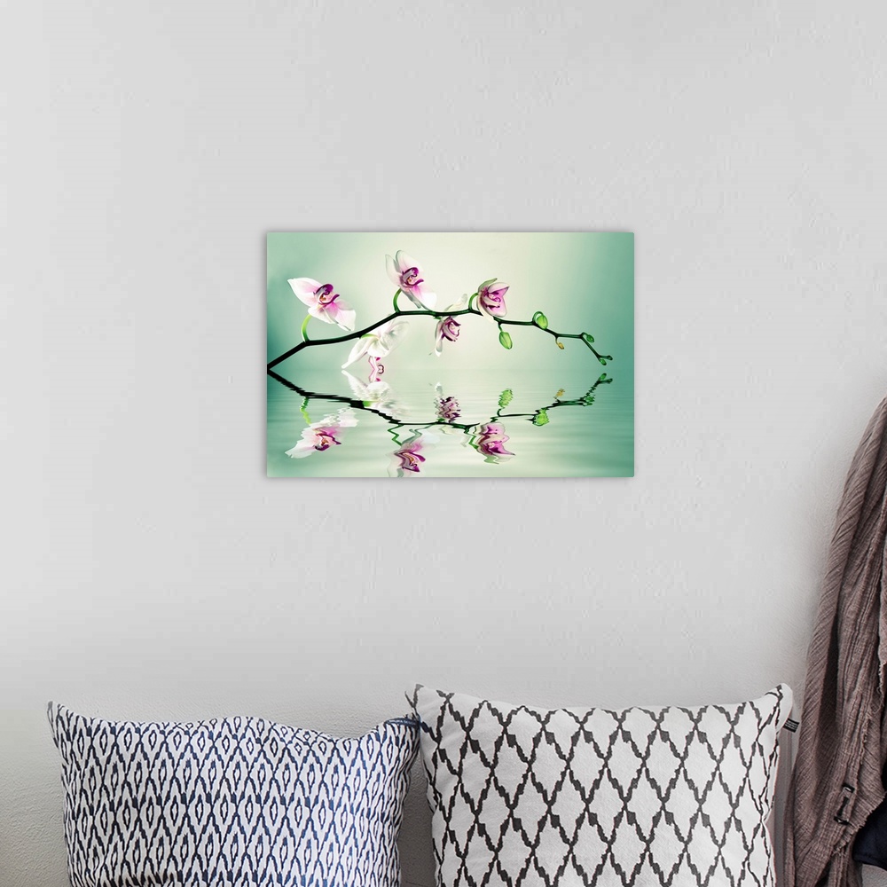 A bohemian room featuring A photograph of a branch of orchids reflecting in water.