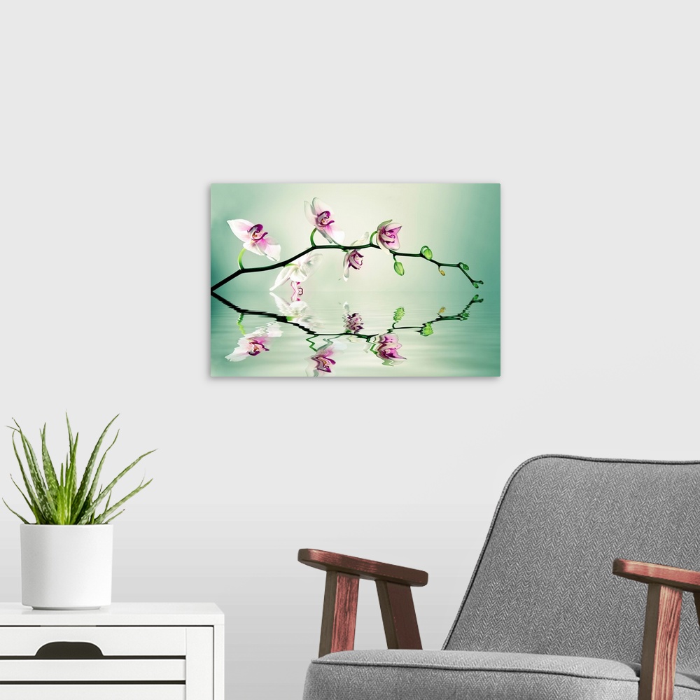 A modern room featuring A photograph of a branch of orchids reflecting in water.
