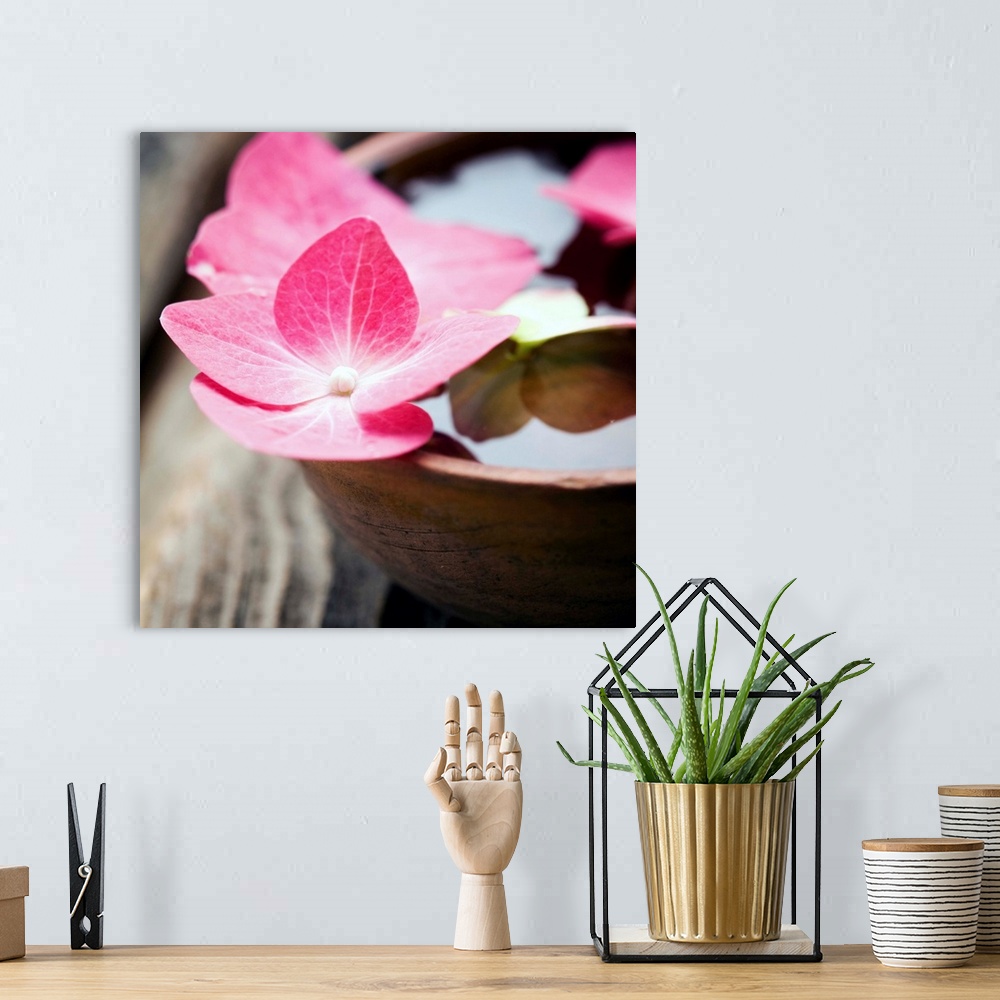 A bohemian room featuring A square photograph of pink flowers in a bowl of water.