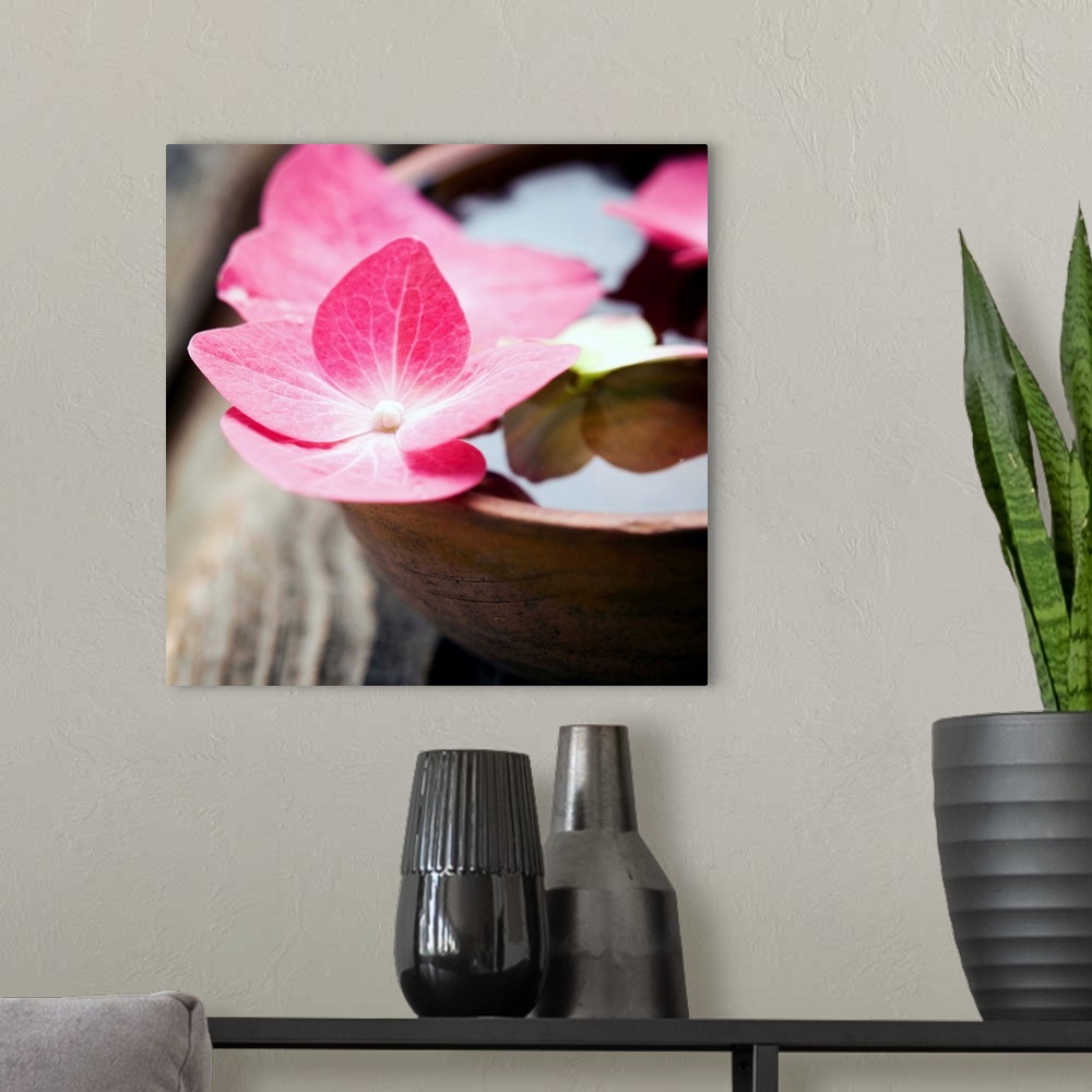 A modern room featuring A square photograph of pink flowers in a bowl of water.