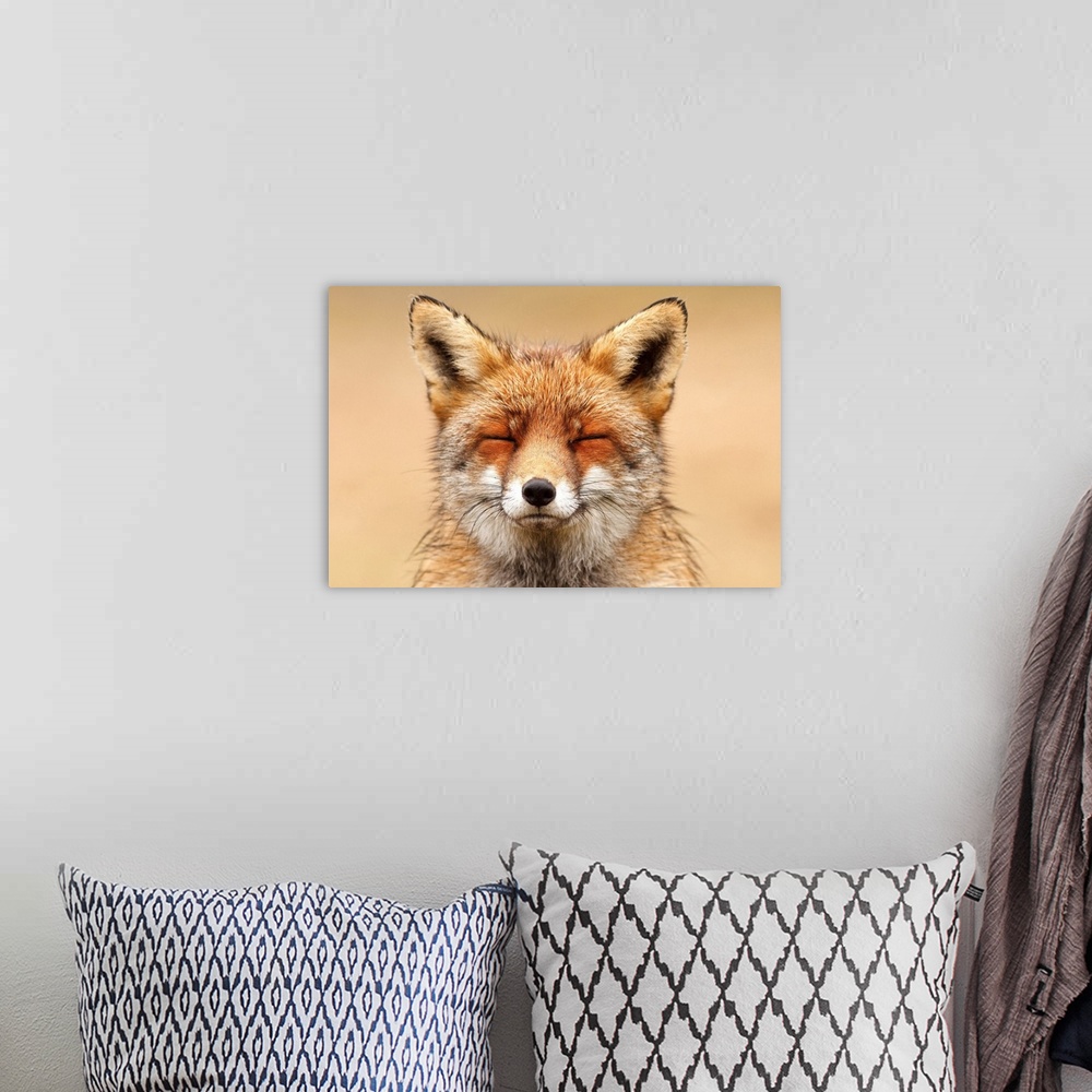 A bohemian room featuring A photograph of a fox with it's eyes close.