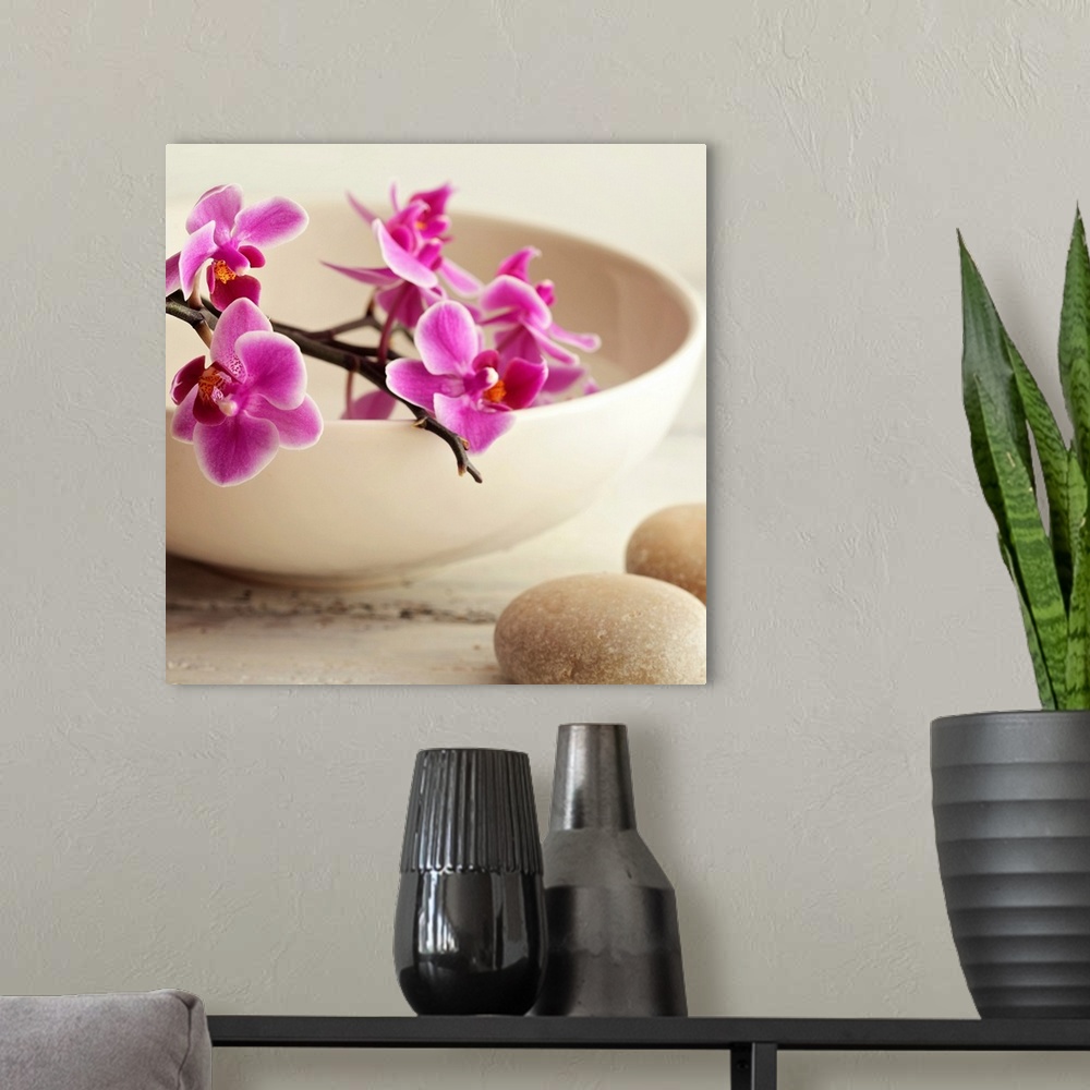 A modern room featuring A square photograph of pink orchids in a bowl with rocks next to it.