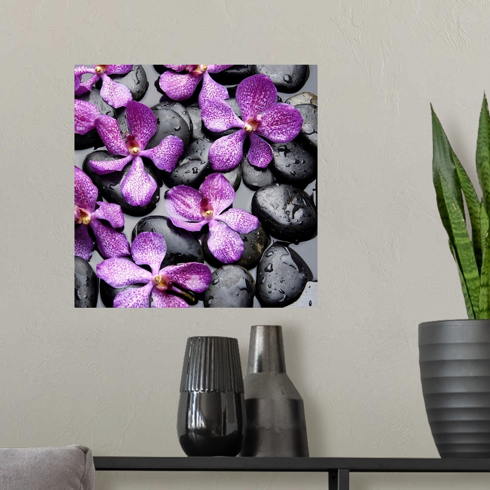 A modern room featuring Square image of purple orchids on smooth black rocks in water.