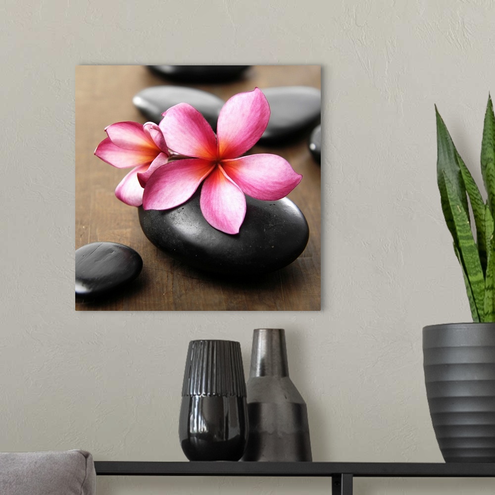 A modern room featuring Square image of pink flowers on smooth black rocks on wood.