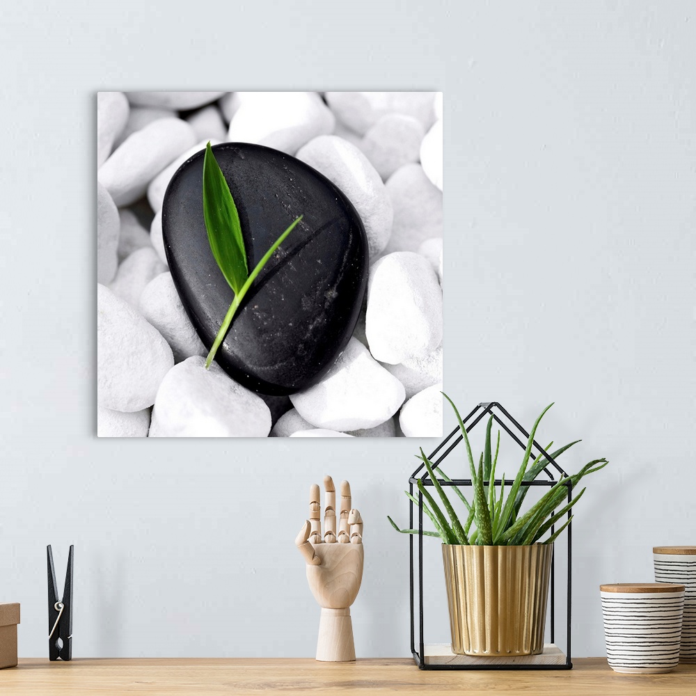 A bohemian room featuring Small green bamboo leaf on a neat, black Zen-Stone lying on many white pebbles.