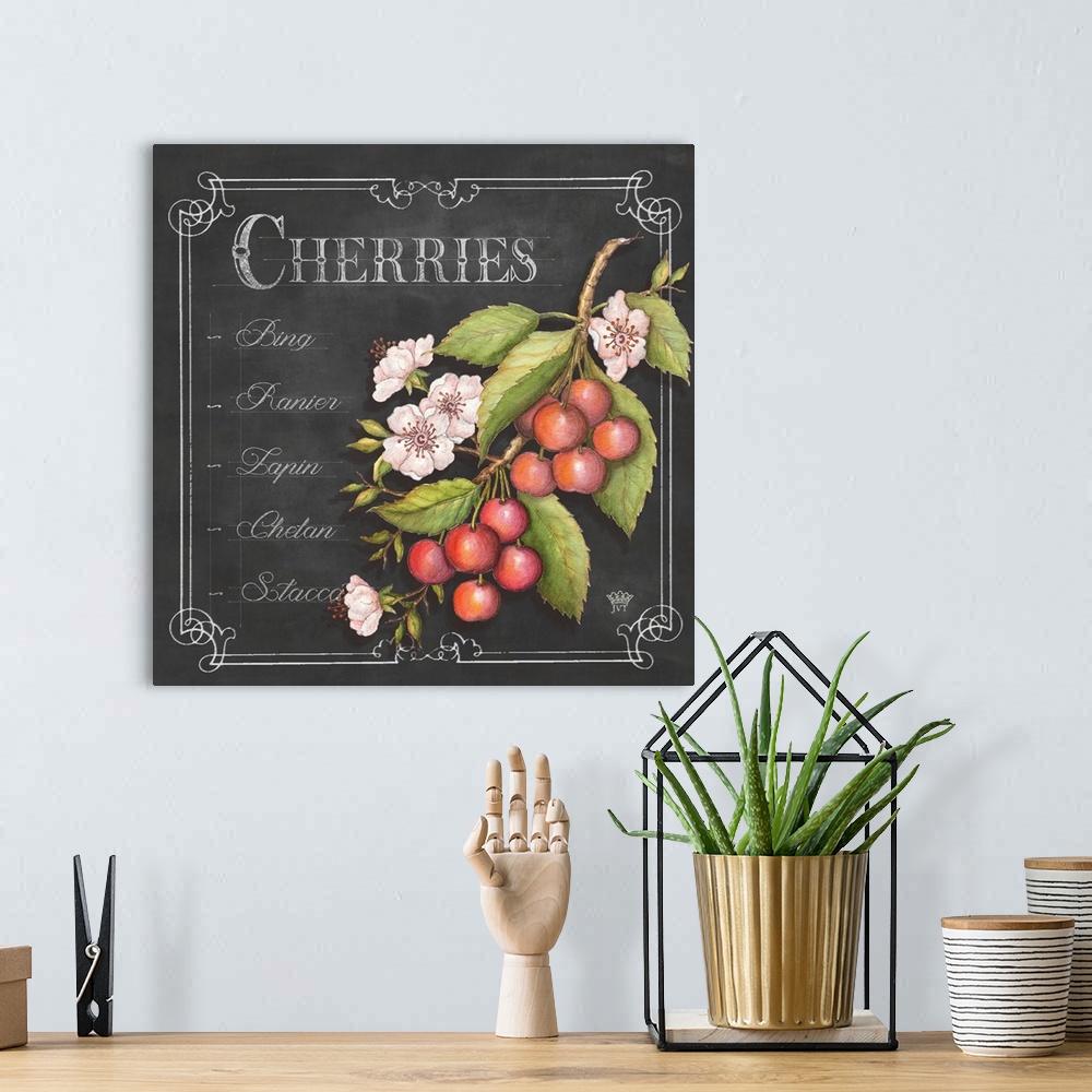 A bohemian room featuring Cherries Noir
