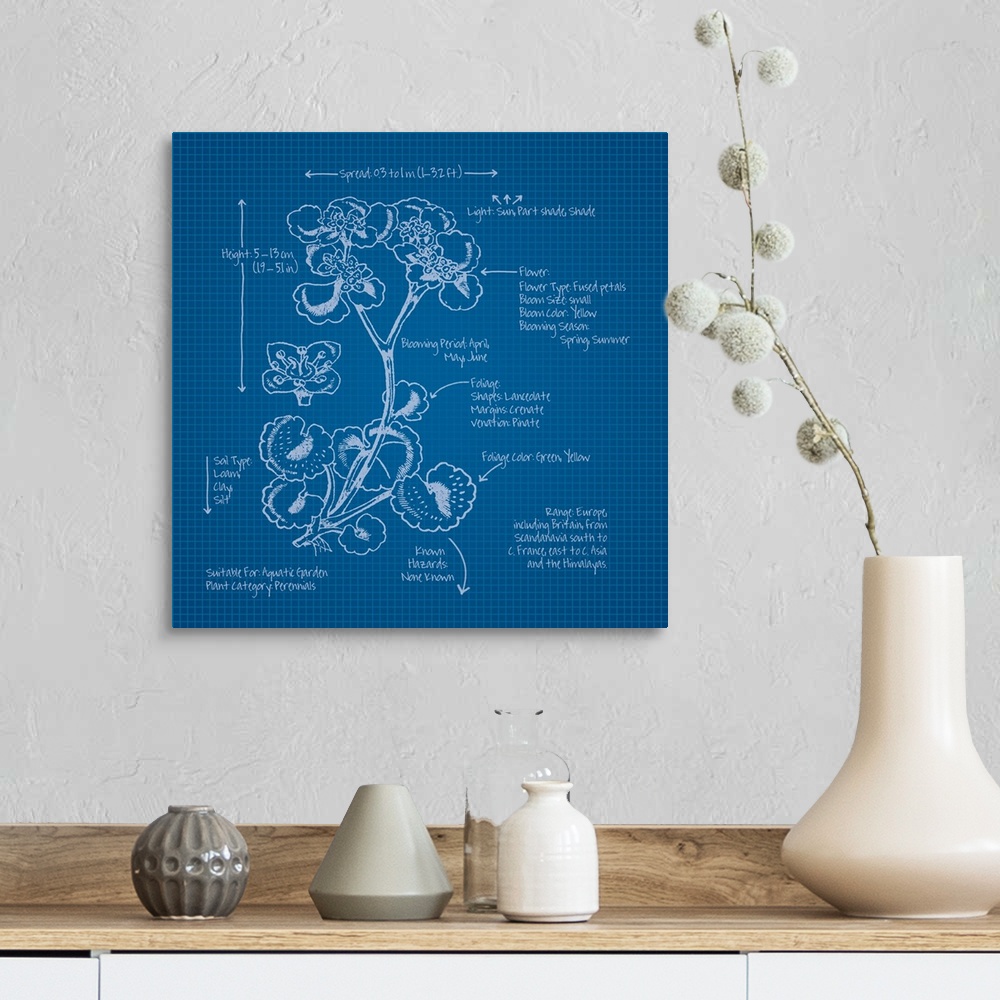 A farmhouse room featuring Digital artwork of a blueprint in blue and white featuring a perennial with brief information abo...