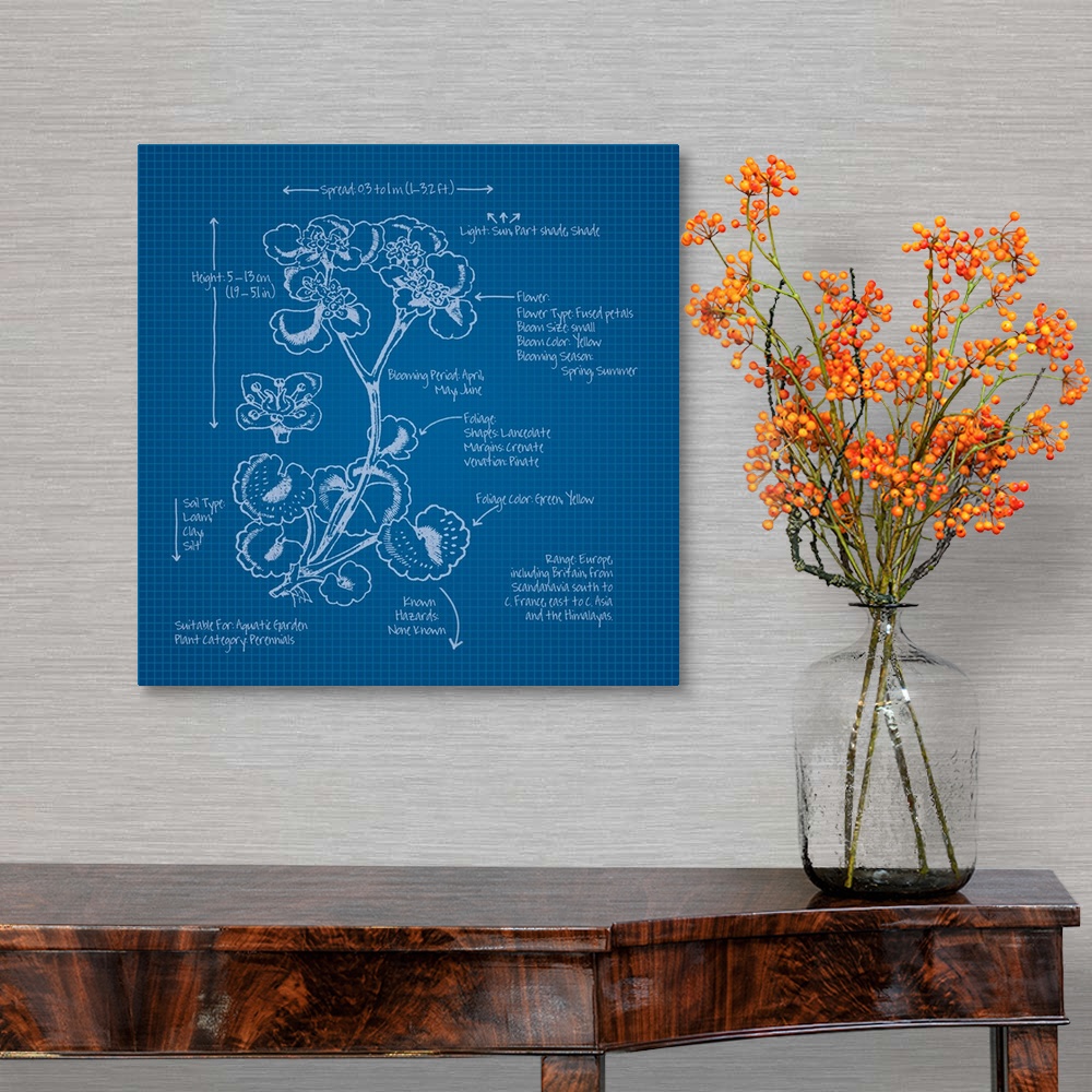 A traditional room featuring Digital artwork of a blueprint in blue and white featuring a perennial with brief information abo...