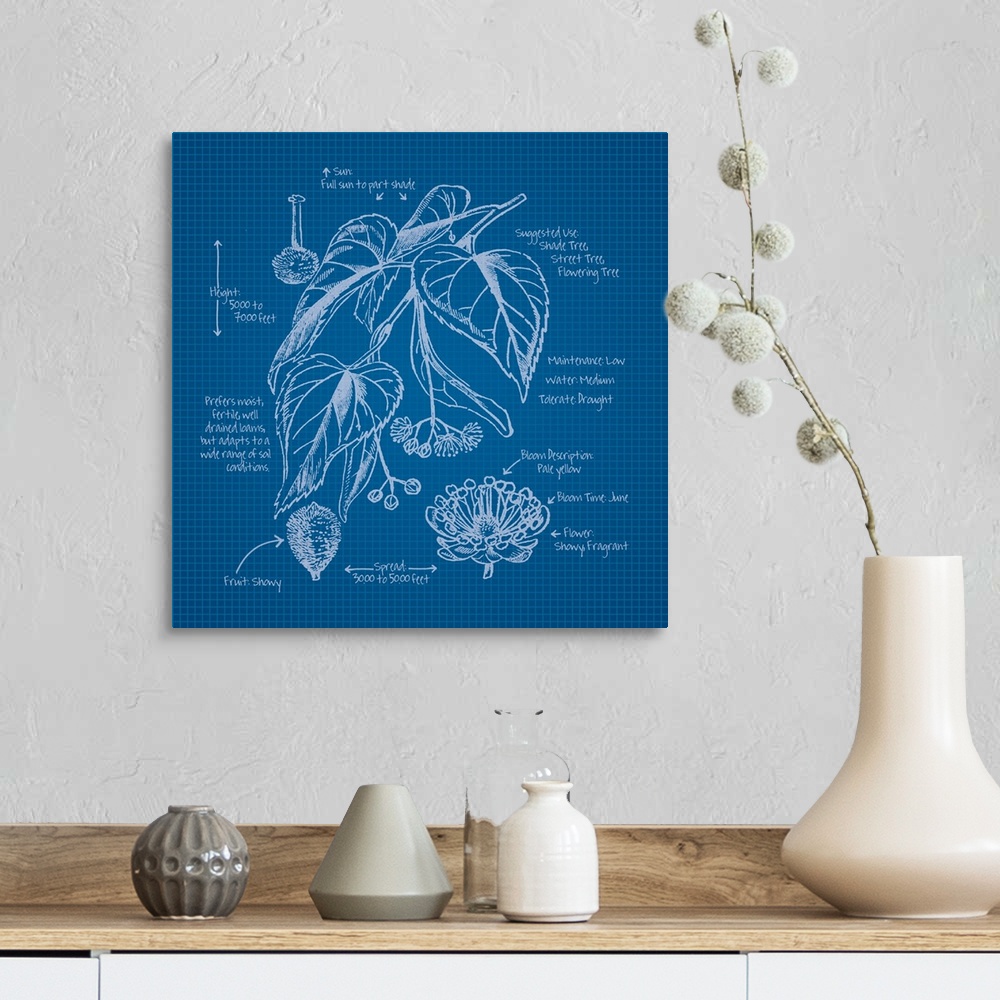 A farmhouse room featuring Digital artwork of a blueprint in blue and white featuring a perennial with brief information abo...