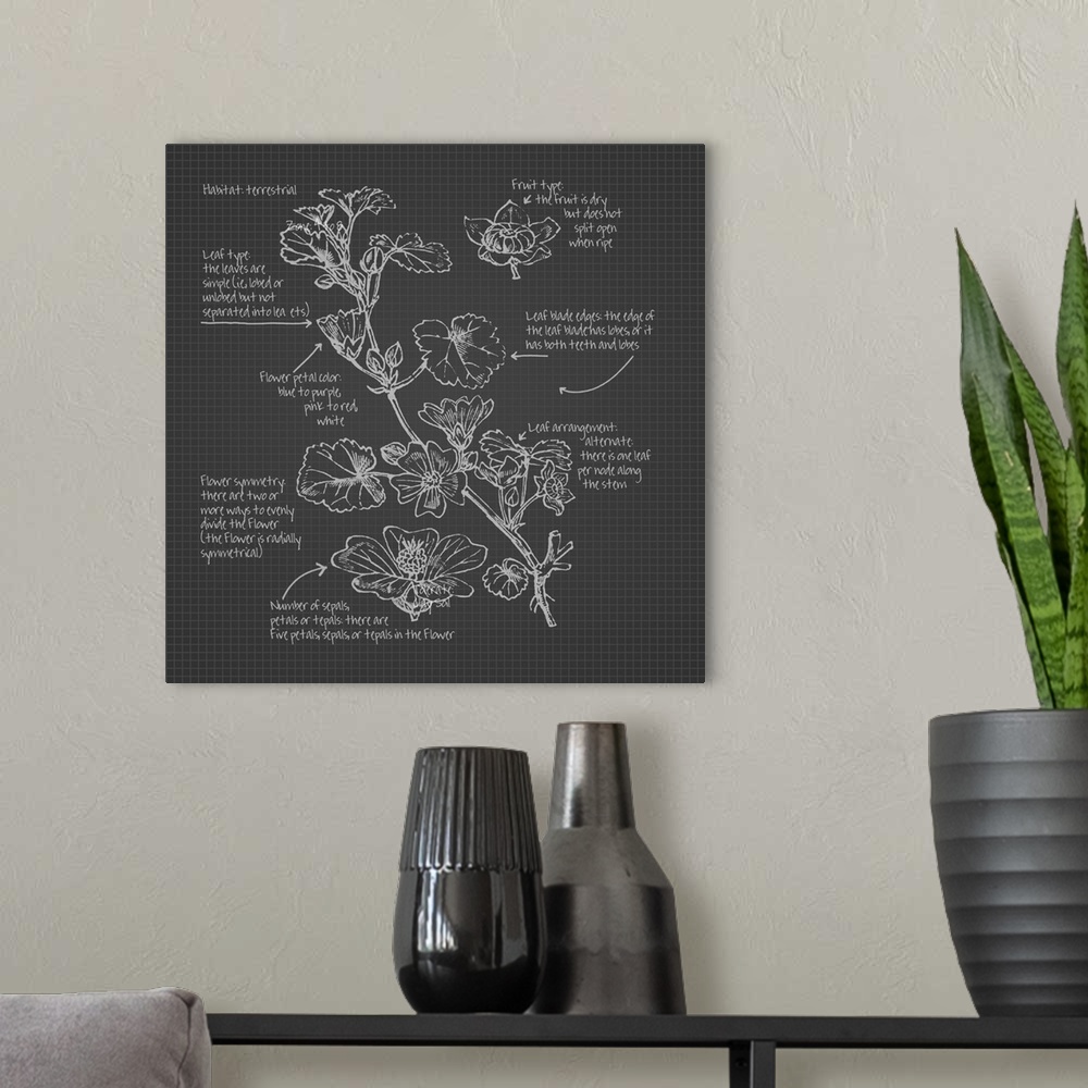 A modern room featuring Digital artwork of a blueprint in slate gray and white featuring a rosaceae botanical with brief ...