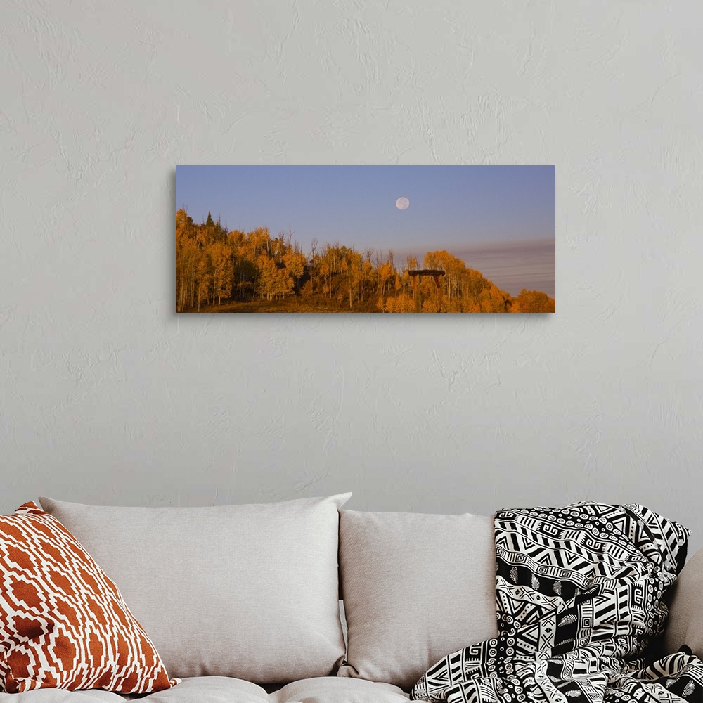 A bohemian room featuring Photograph of brightly colored orange trees, a lavender sky and a pale full moon.