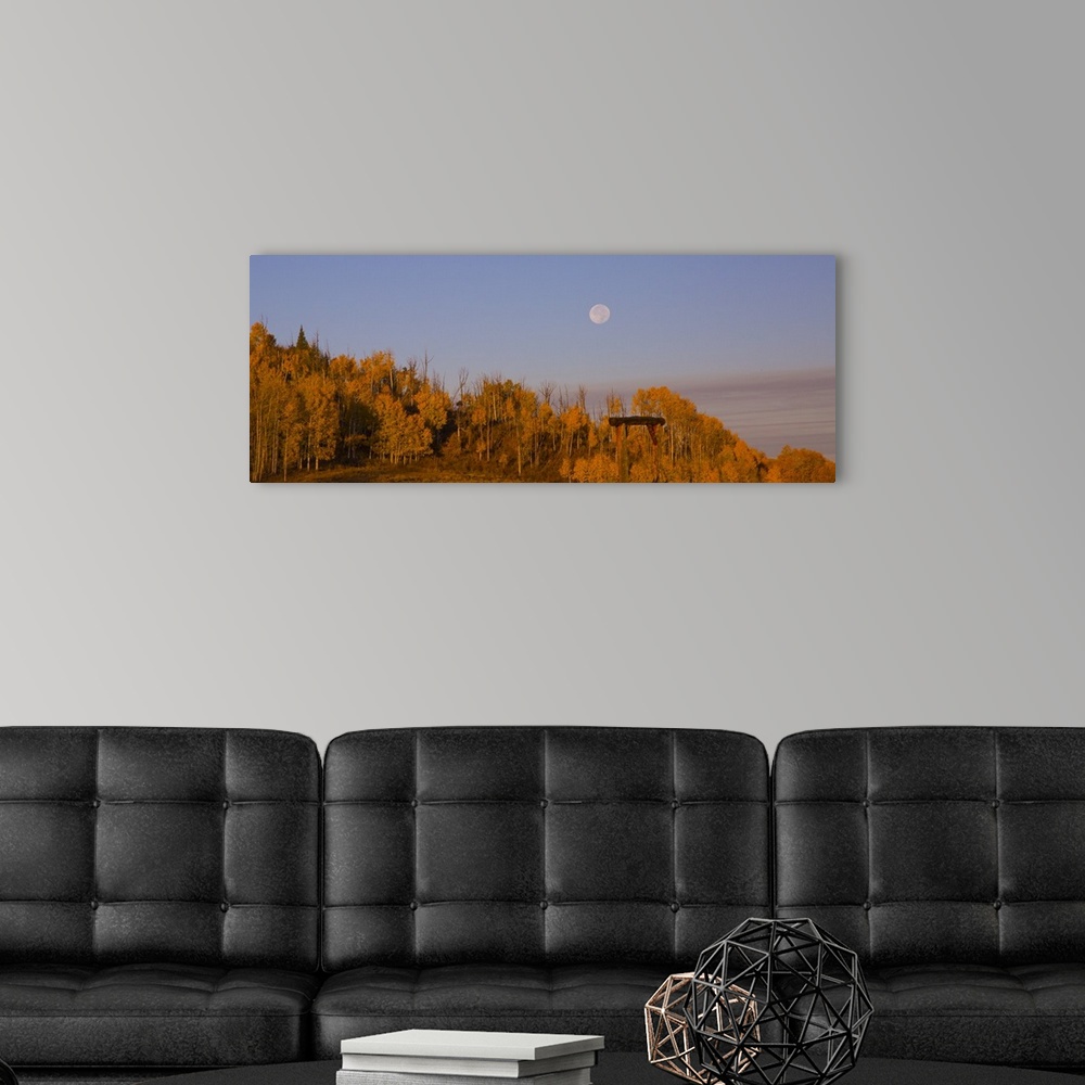 A modern room featuring Photograph of brightly colored orange trees, a lavender sky and a pale full moon.