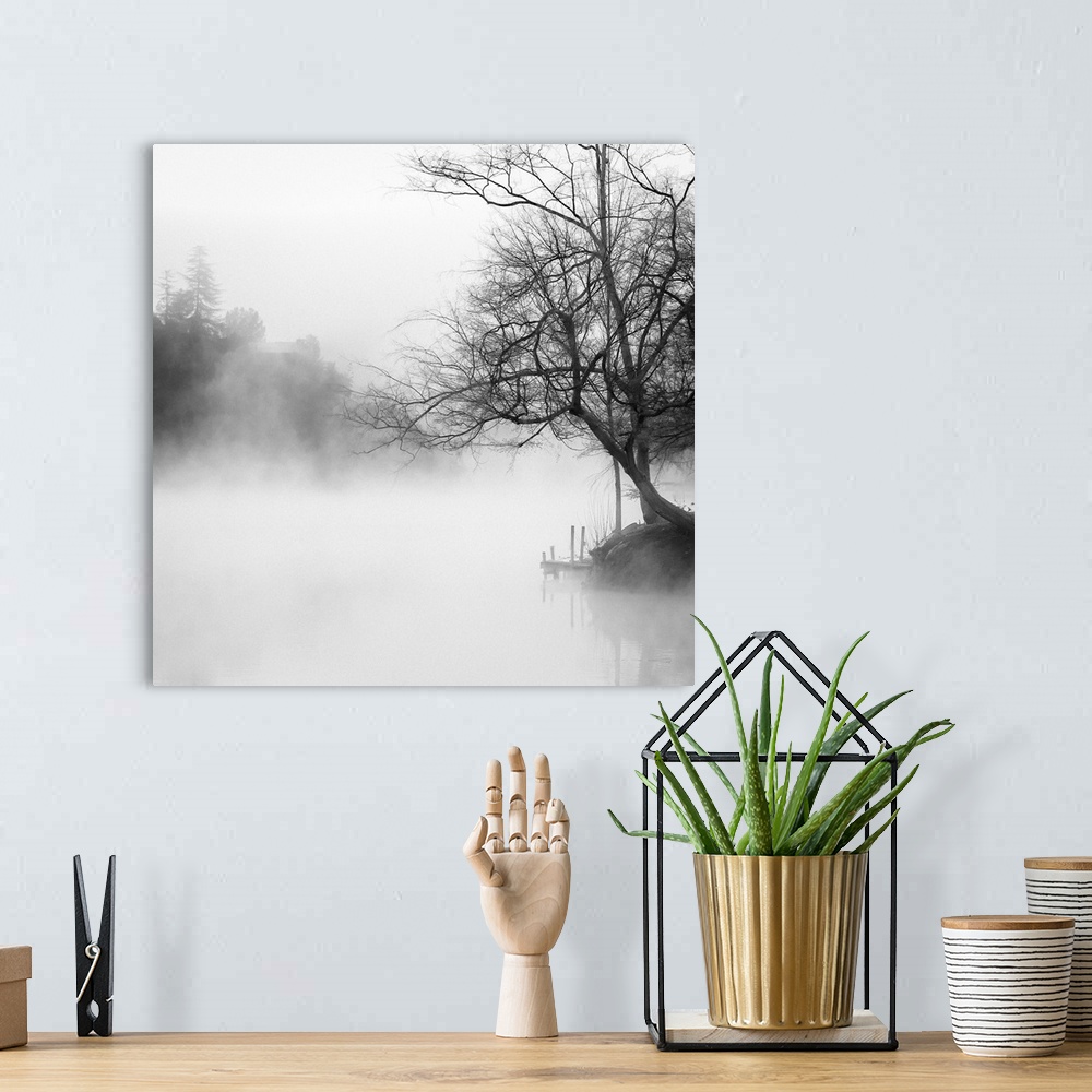 A bohemian room featuring Black and white photography of a misty lake lined with trees.