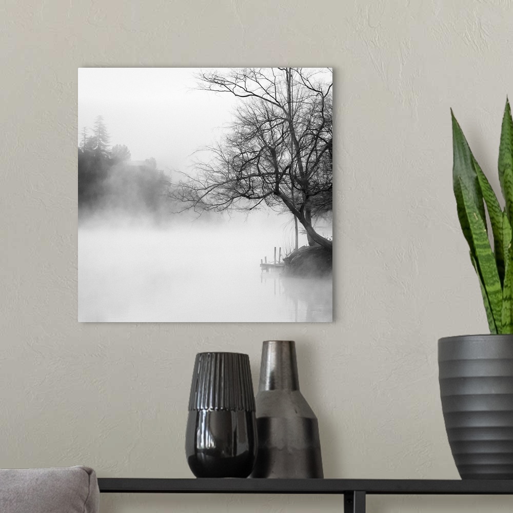 A modern room featuring Black and white photography of a misty lake lined with trees.