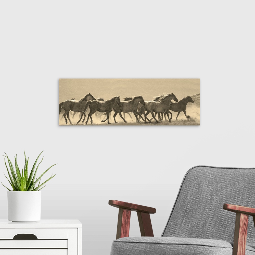 A modern room featuring Photograph in sepia of a parade of horses in a dusty field.