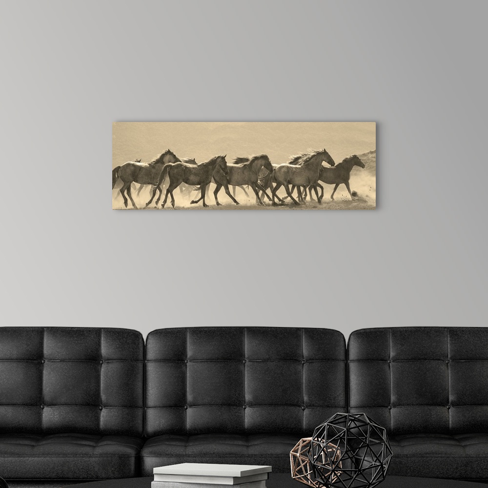 A modern room featuring Photograph in sepia of a parade of horses in a dusty field.