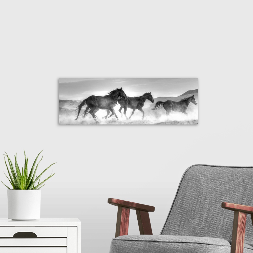 A modern room featuring Photograph in black and white of three horses running in a cloud of dust by Sally Linden.