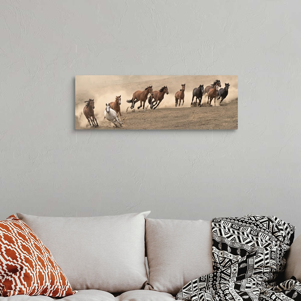 A bohemian room featuring Panoramic photograph of a herd of wild horses running in a dusty field.