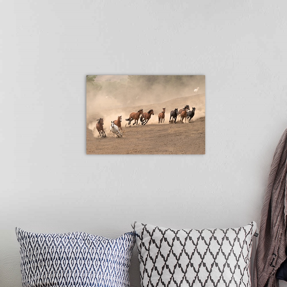 A bohemian room featuring Photograph of a team of wild horses barreling over the hillside by Sally Linden.