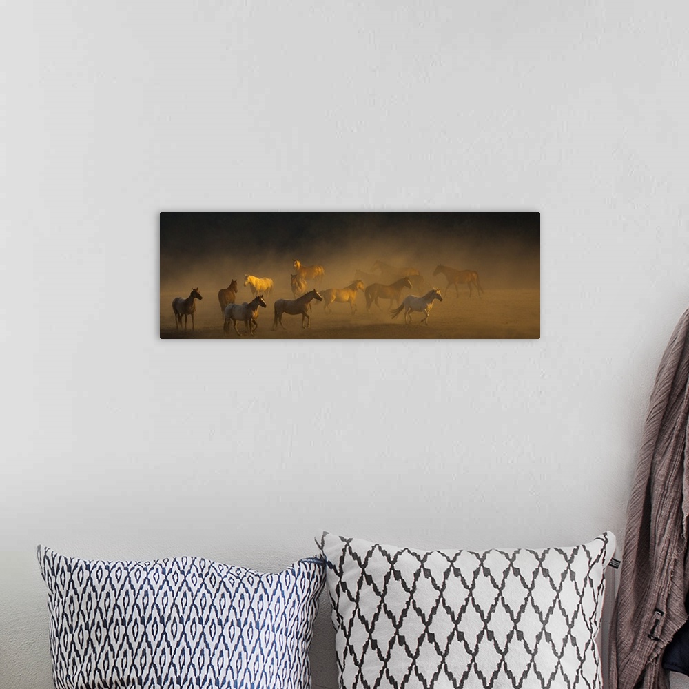 A bohemian room featuring Photograph of a herd of horses finding their way to go in a dusty field.