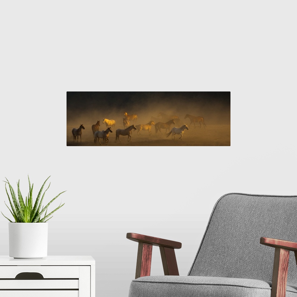 A modern room featuring Photograph of a herd of horses finding their way to go in a dusty field.