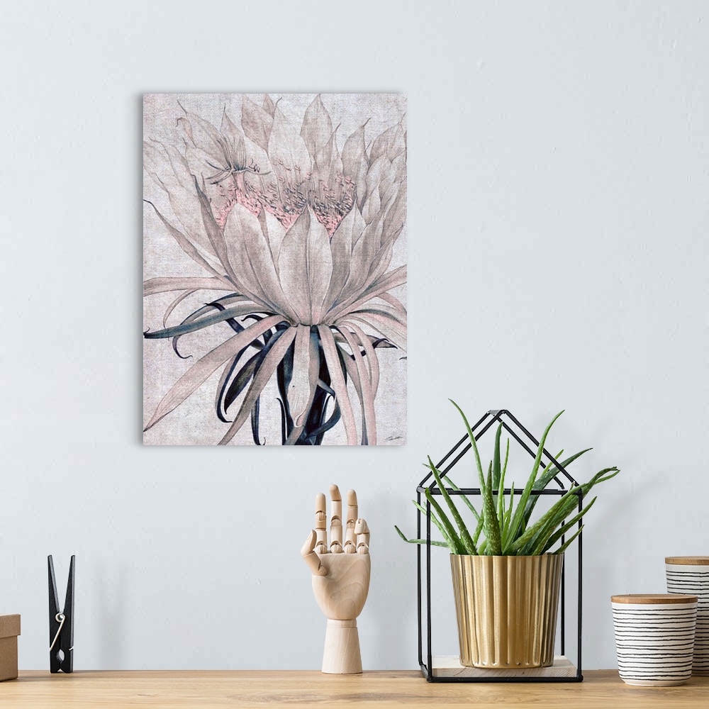 A bohemian room featuring A cactus flower blooms on blushed toned linen.