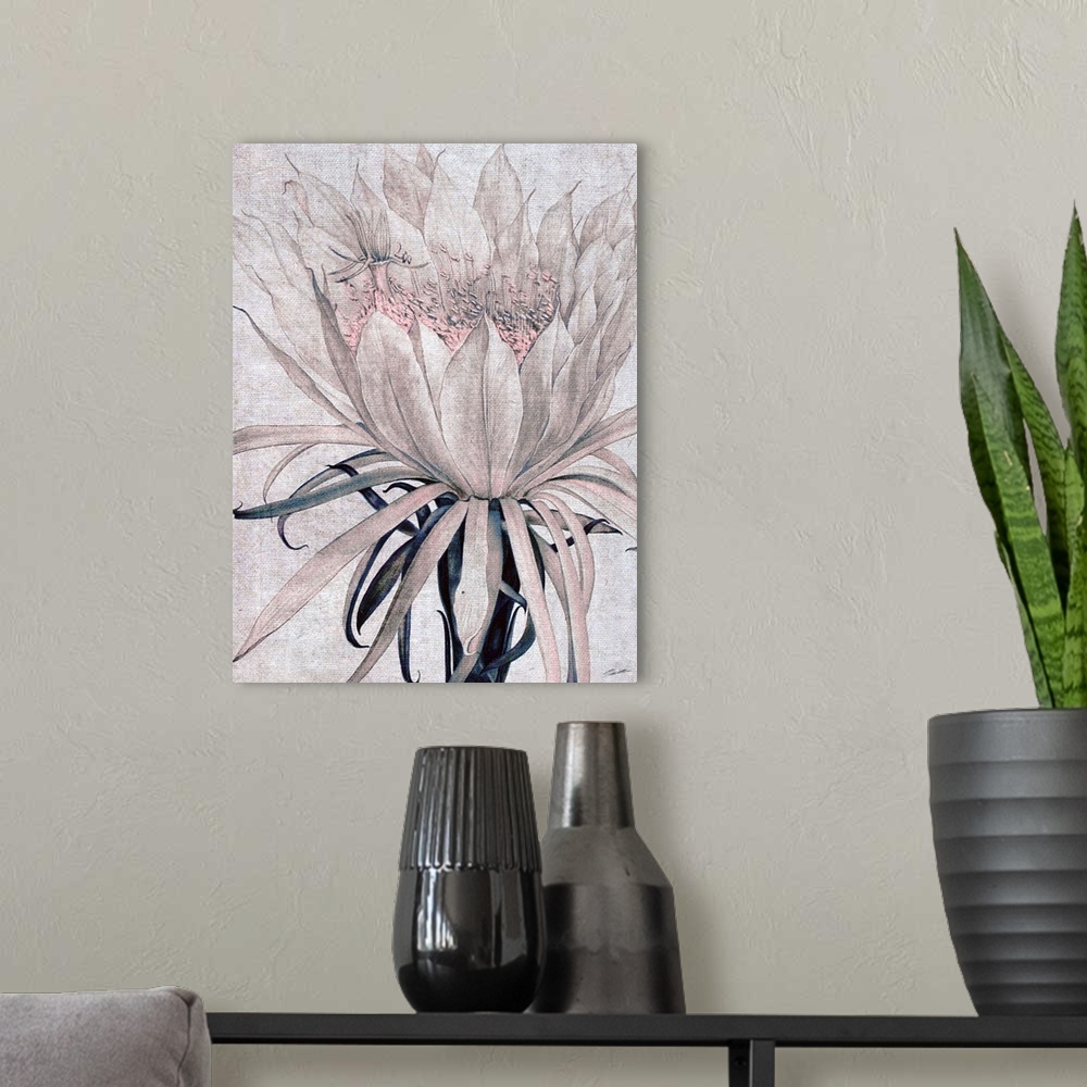 A modern room featuring A cactus flower blooms on blushed toned linen.