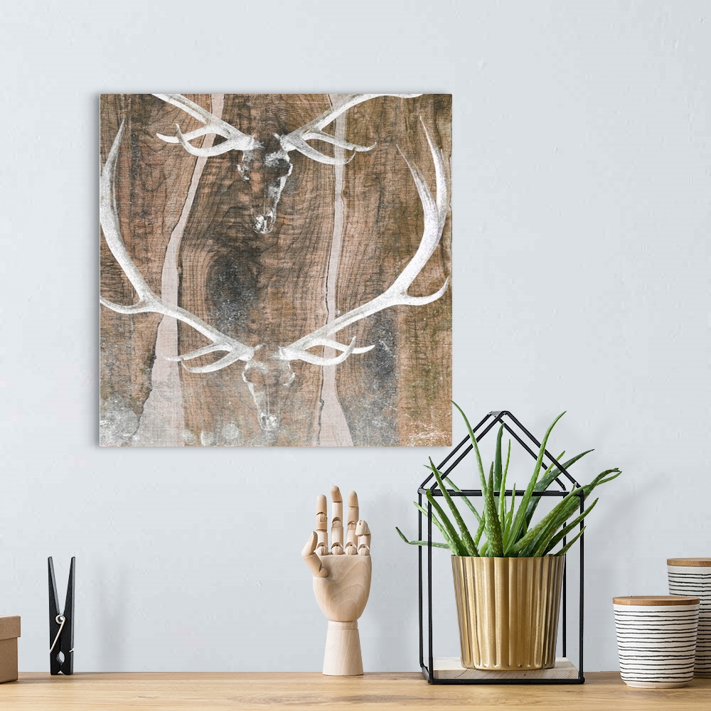 A bohemian room featuring Antler display on a live-edge cabin wall.