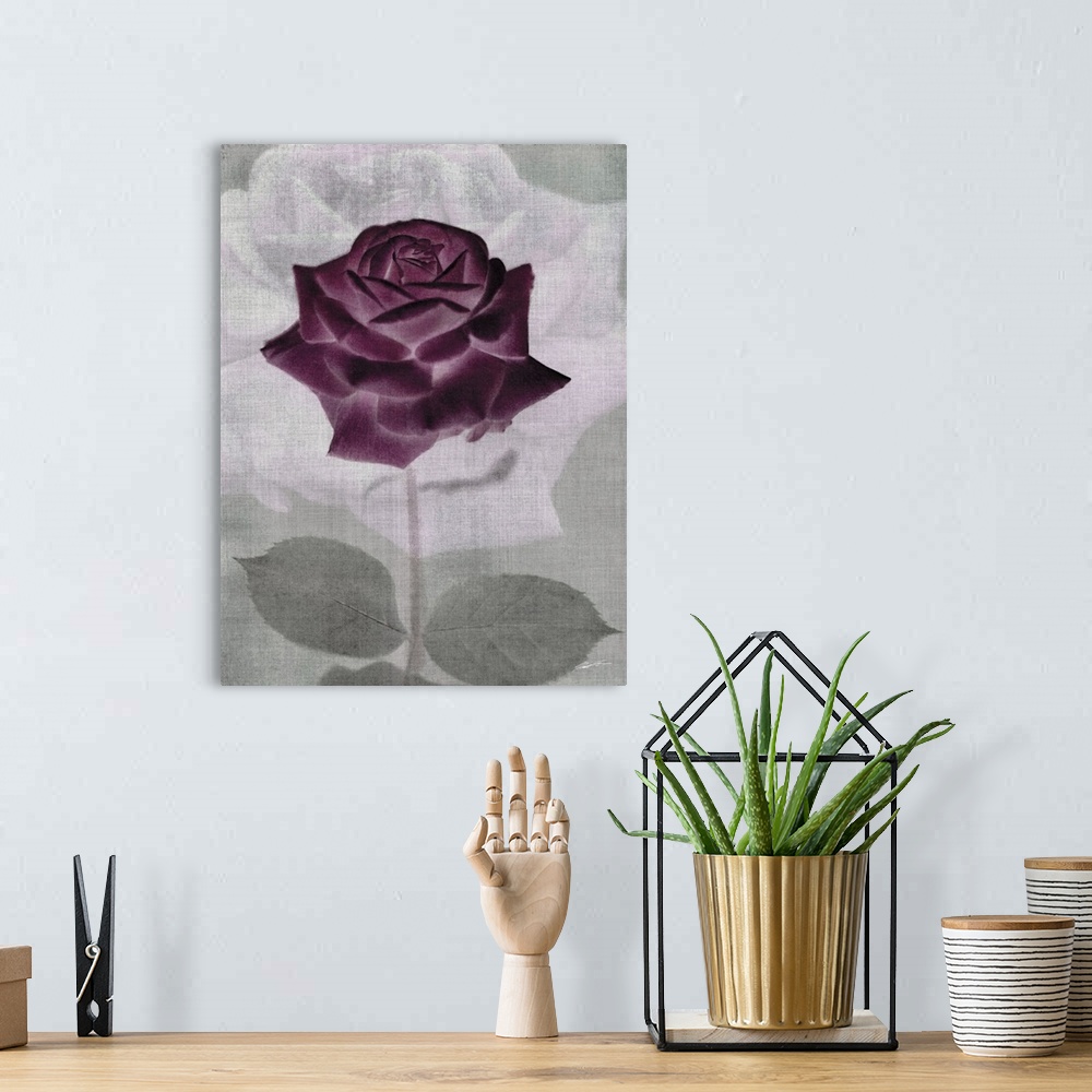 A bohemian room featuring Rose blossoms in a ghostly plum display.