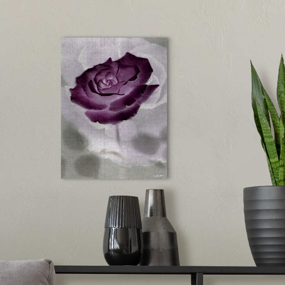 A modern room featuring Rose blossoms in a ghostly plum display.