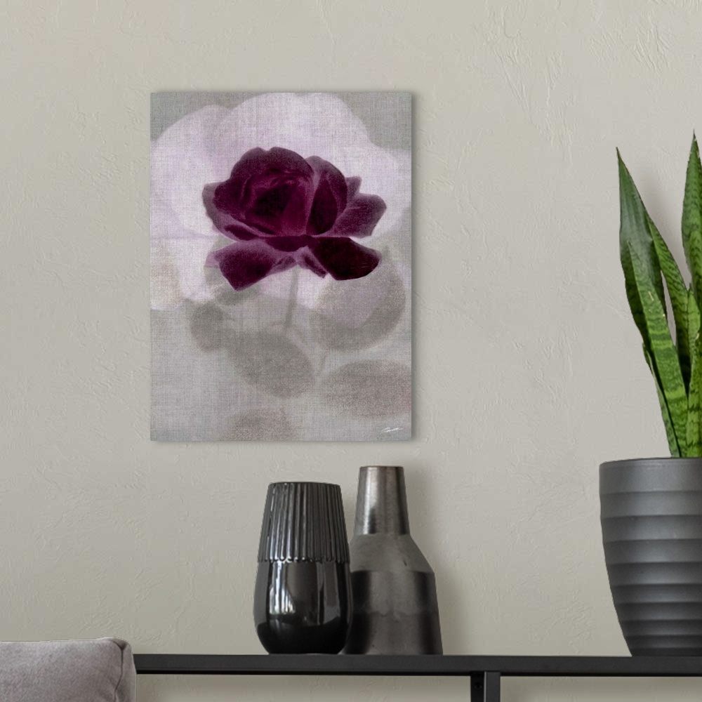 A modern room featuring Rose blossoms in a ghostly plum display.