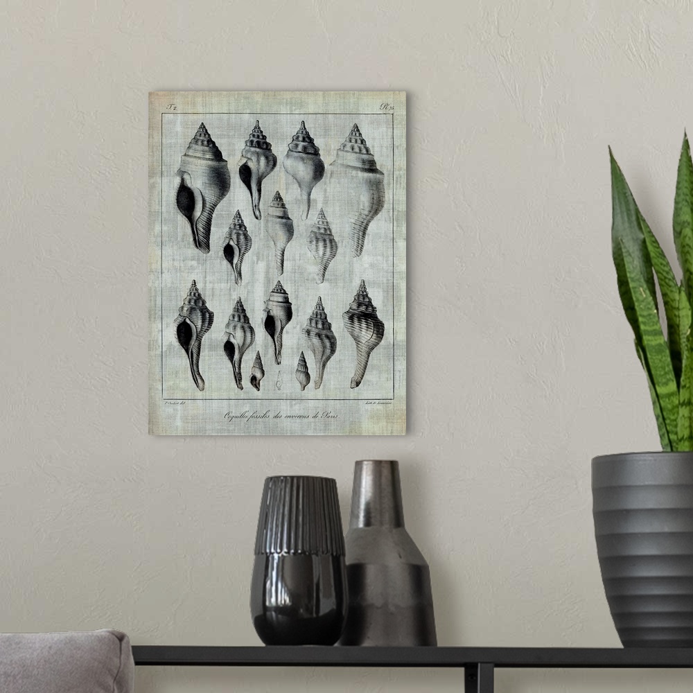 A modern room featuring Seashell illustrations on textured linen.