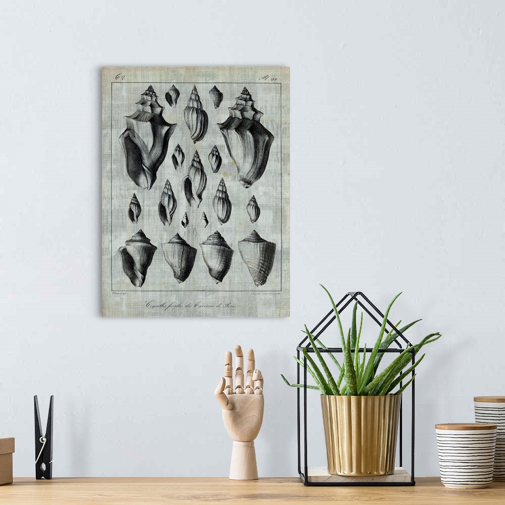 A bohemian room featuring Seashell illustrations on textured linen.