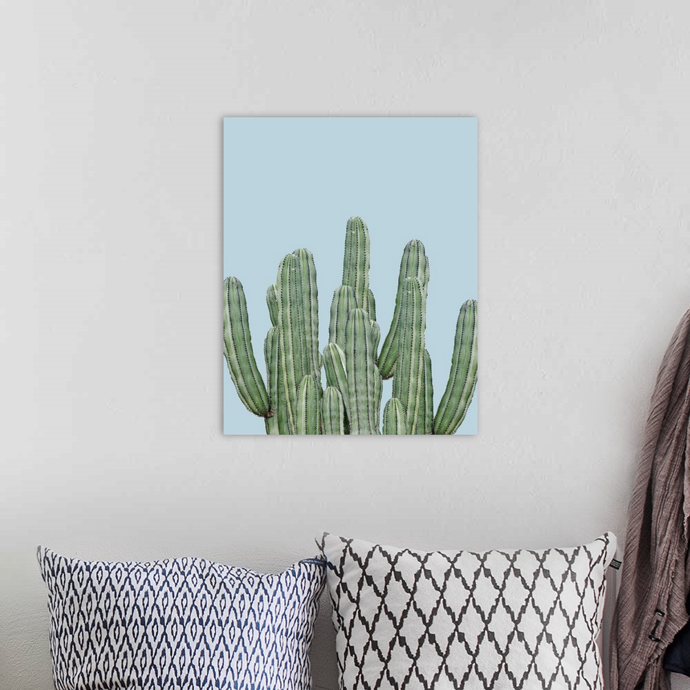 A bohemian room featuring Photograph of long, green cacti on a pale blue background.
