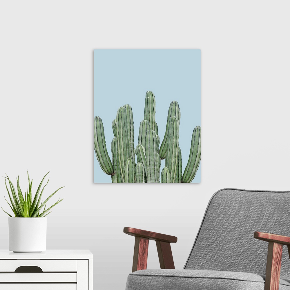 A modern room featuring Photograph of long, green cacti on a pale blue background.