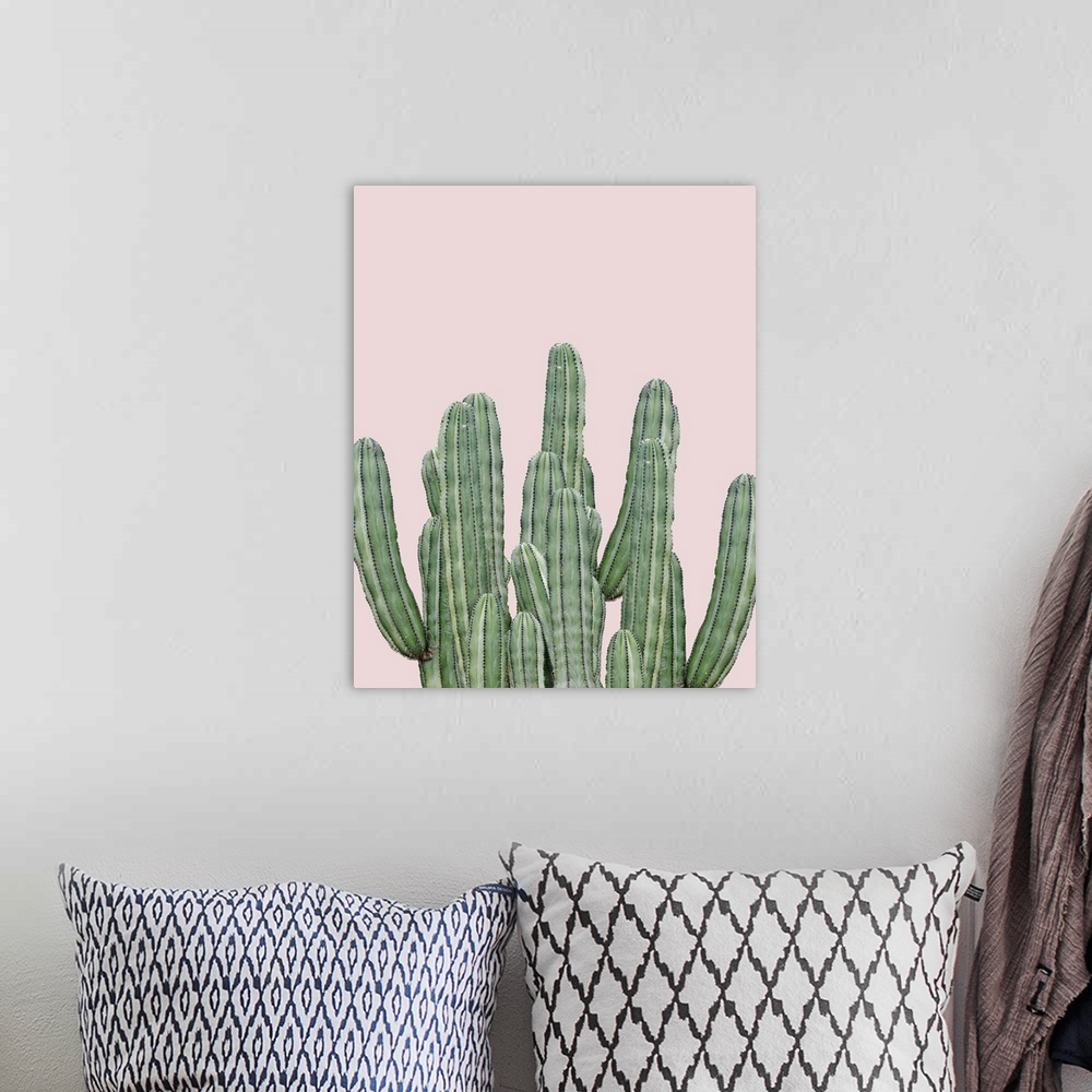 A bohemian room featuring Photograph of long, green cacti on a pale pink background.