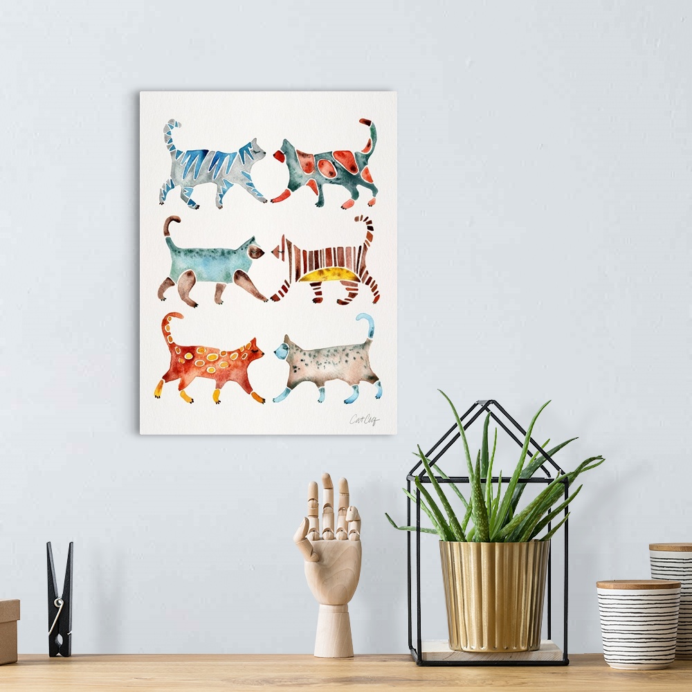 A bohemian room featuring Cat Collection