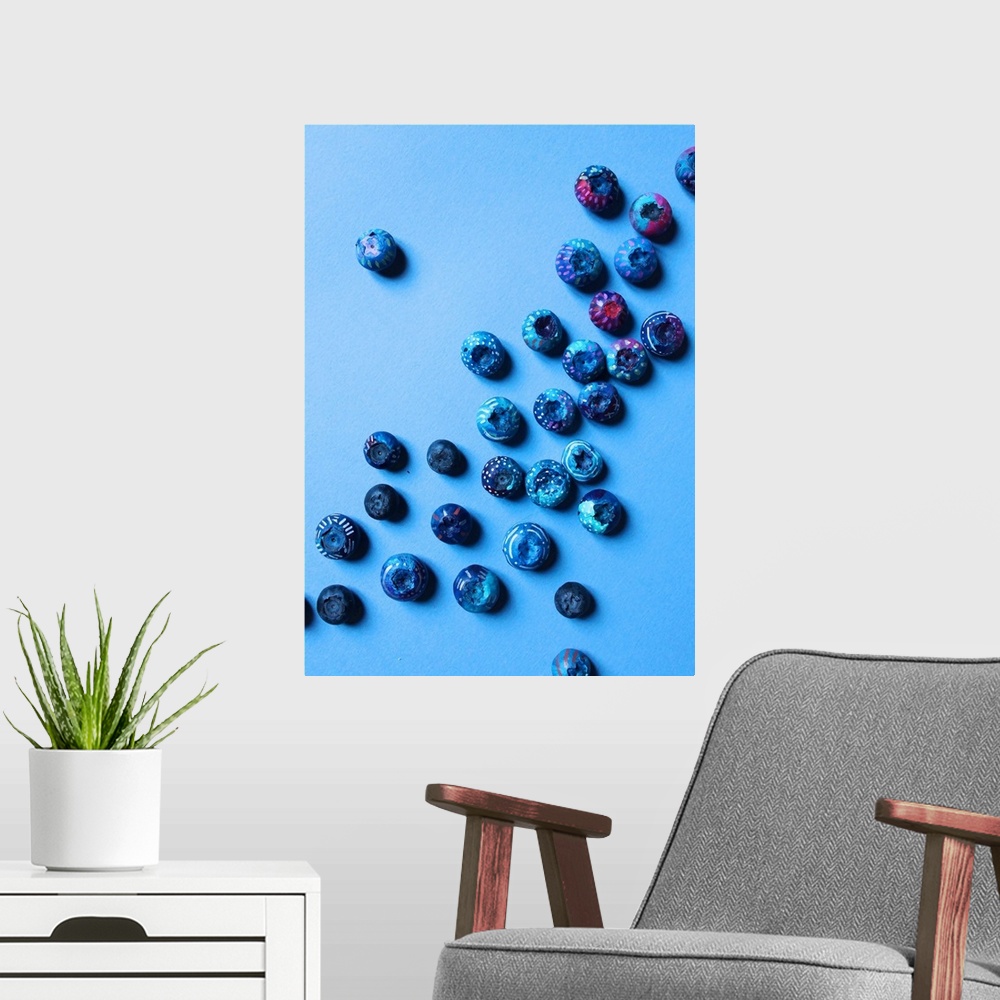 A modern room featuring Fiesta Fruit Blueberries