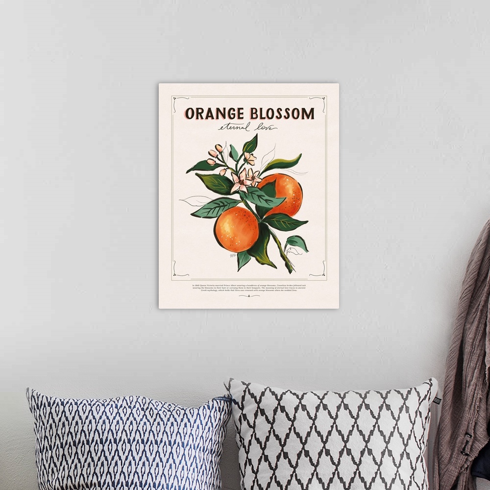 A bohemian room featuring Language Of Flowers - Orange Blossom