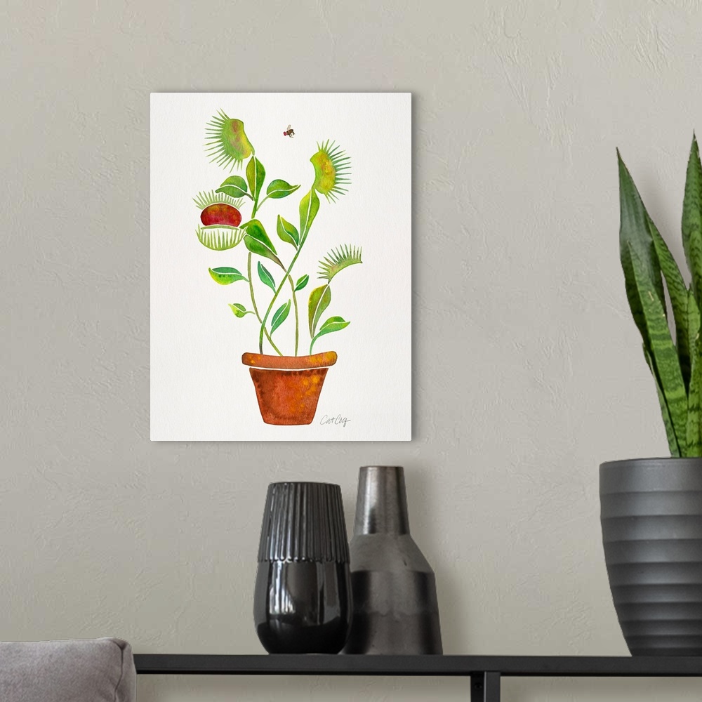 A modern room featuring Venus Fly Trap