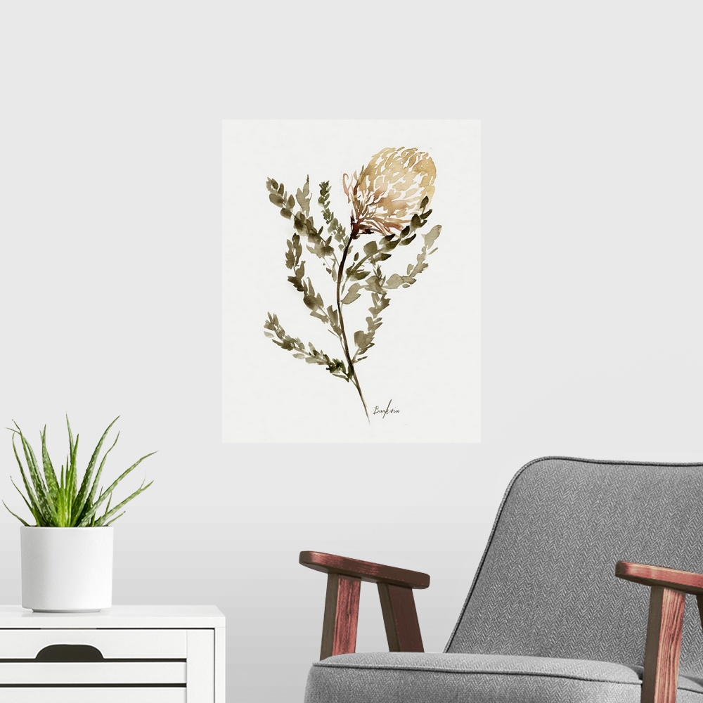 A modern room featuring Wild Banksia