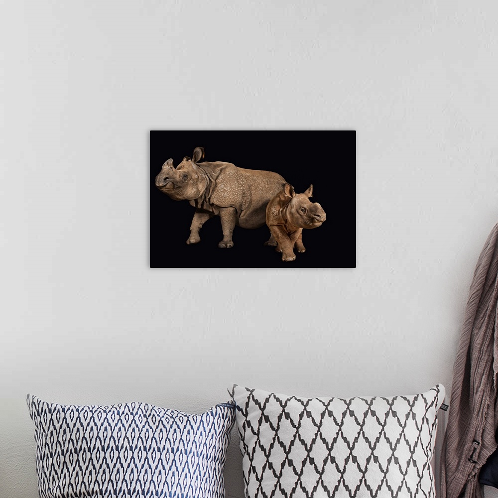 A bohemian room featuring An endangered Indian rhinoceros female with calf at the Fort Worth Zoo.