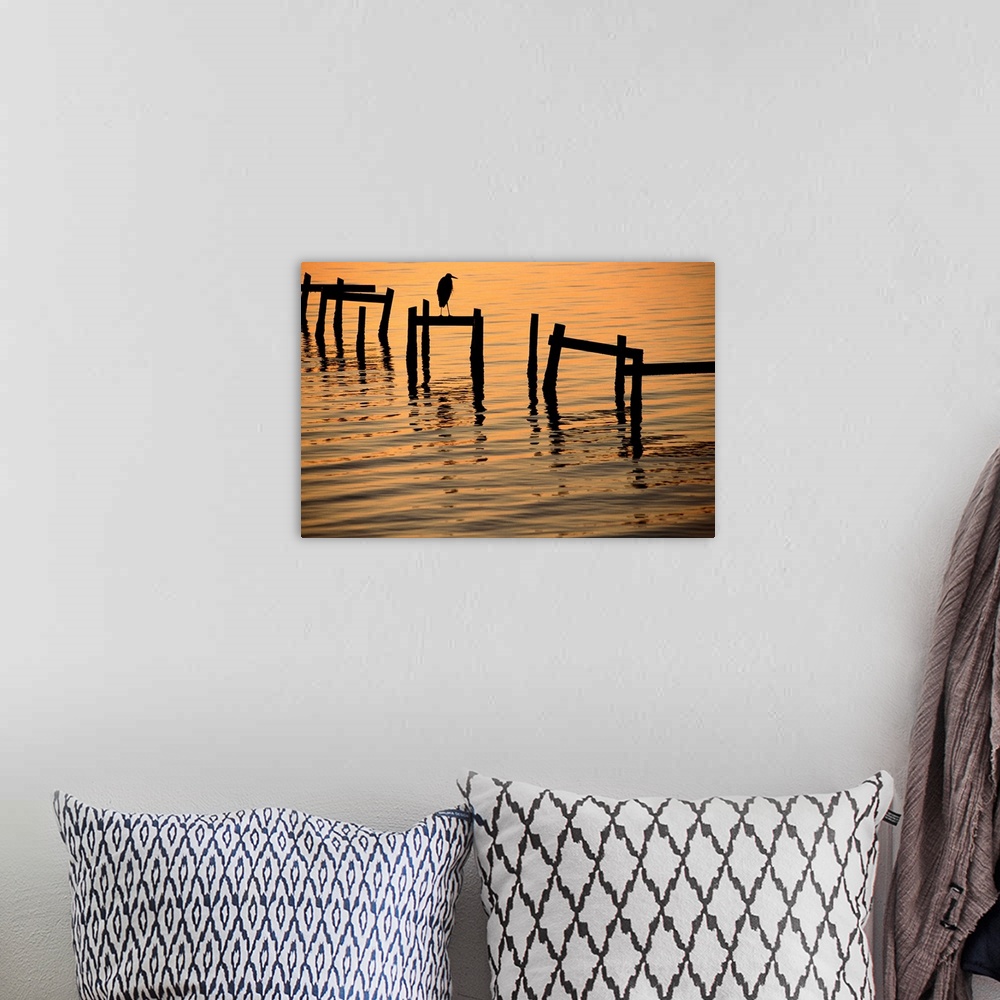 A bohemian room featuring A silhouetted heron perches on the pilings of an old dock.