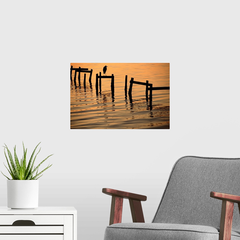 A modern room featuring A silhouetted heron perches on the pilings of an old dock.