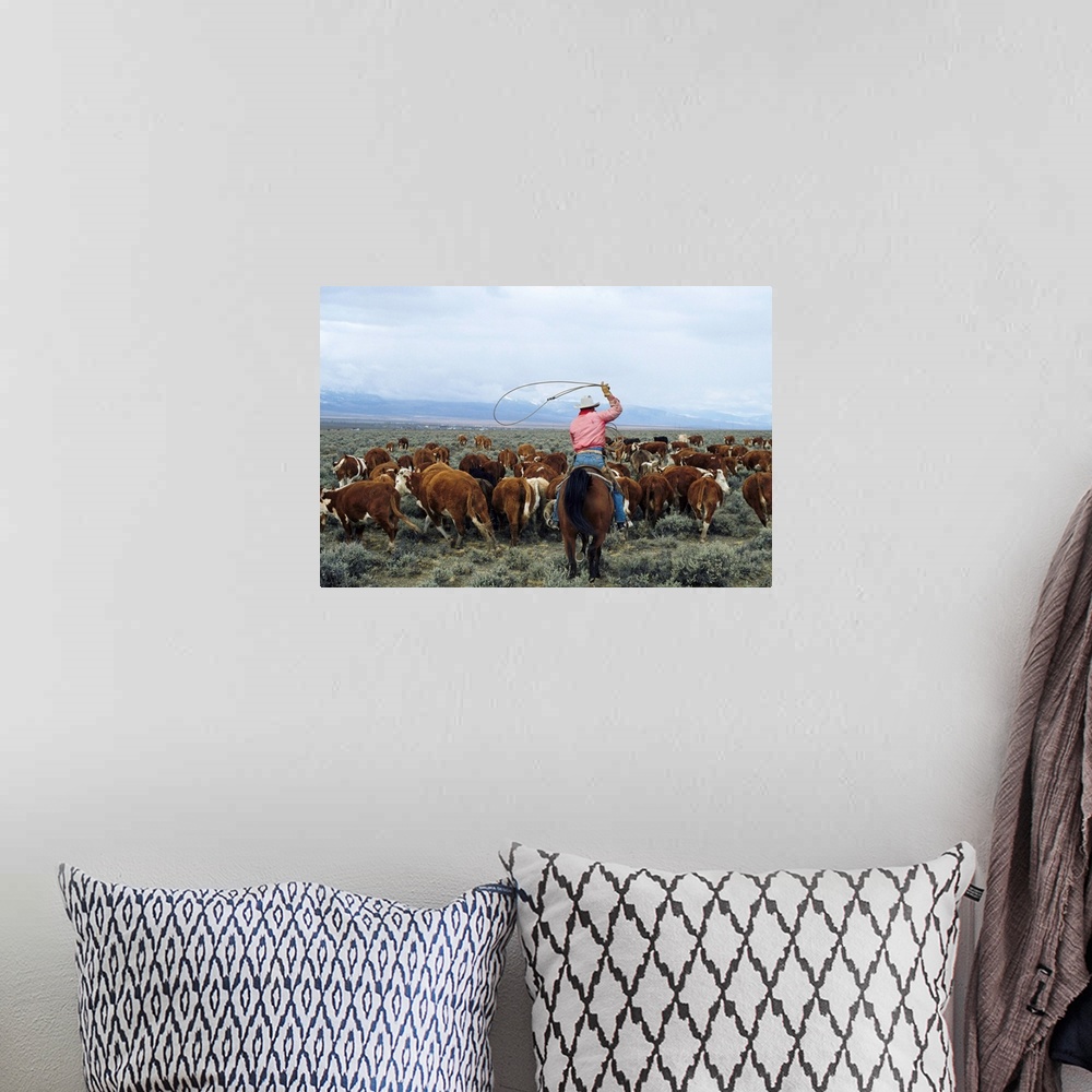 A bohemian room featuring A cowboy herds cattle on an Idaho ranch.