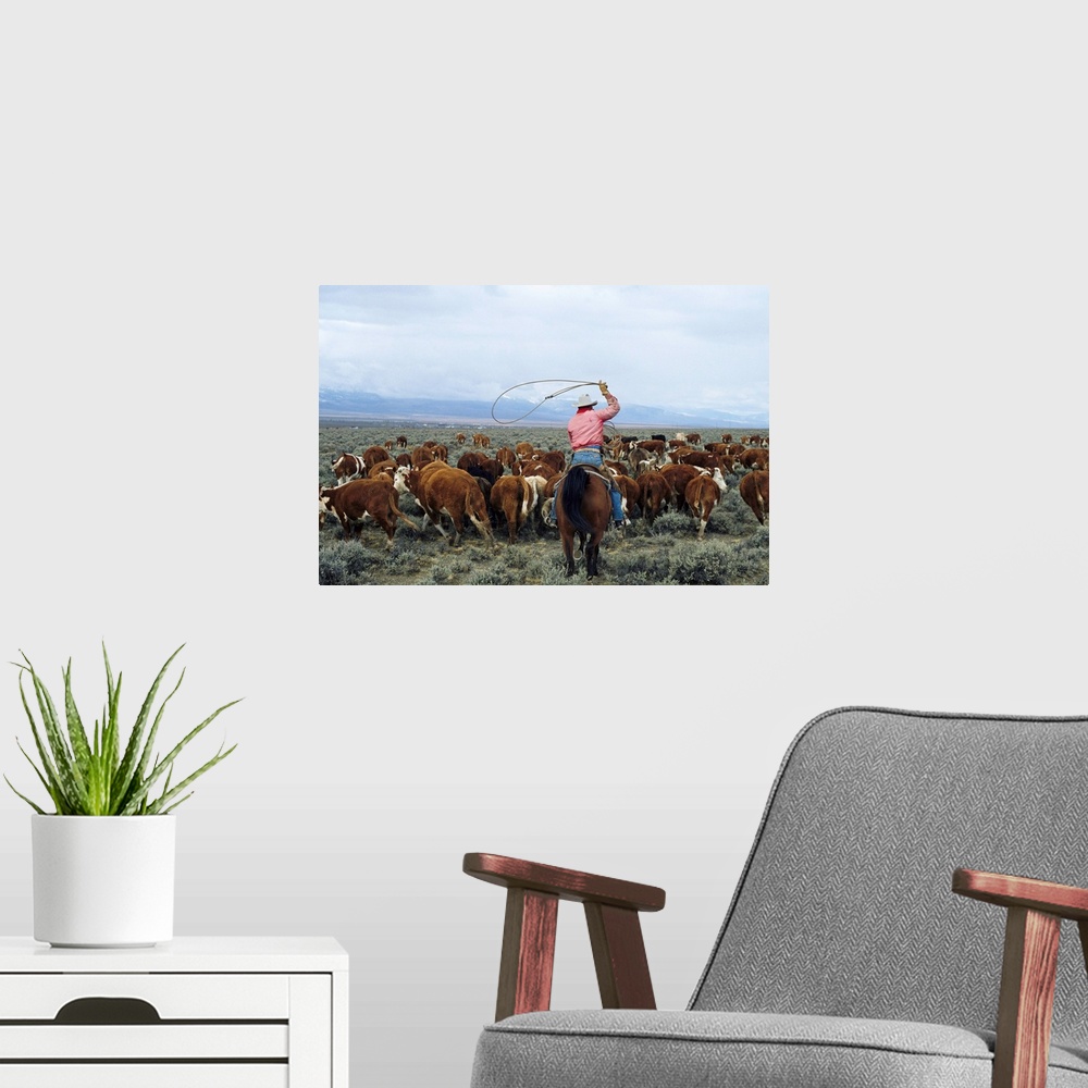 A modern room featuring A cowboy herds cattle on an Idaho ranch.