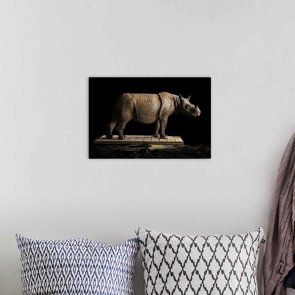 A bohemian room featuring Pahu, the Bornean rhinoceros (Dicerorhinus sumatrensis harrissoni) at the Sumatran Rhino Rescue C...