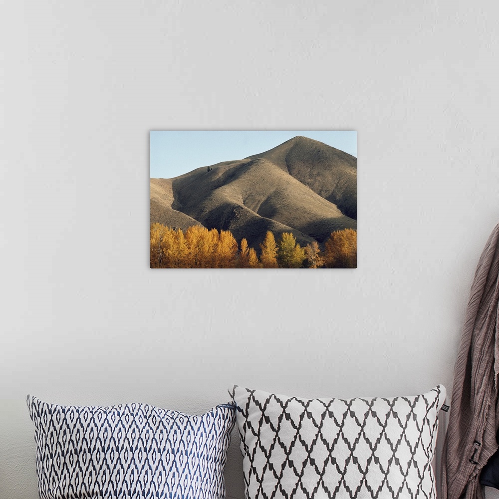 A bohemian room featuring Autumn view of hills north of Salmon, Idaho.