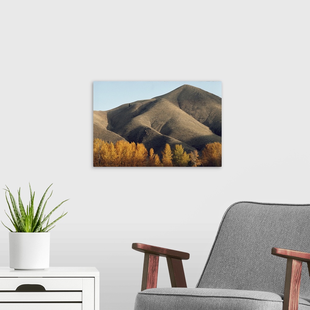 A modern room featuring Autumn view of hills north of Salmon, Idaho.